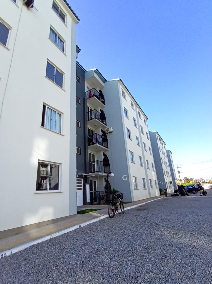 Apartamento - Venda - Sim�es Lopes - Pelotas - RS