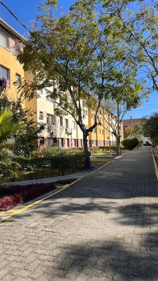Apartamento - Aluguel - Centro - Pelotas - RS