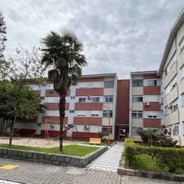 Apartamento - Venda - Fragata - Pelotas - RS