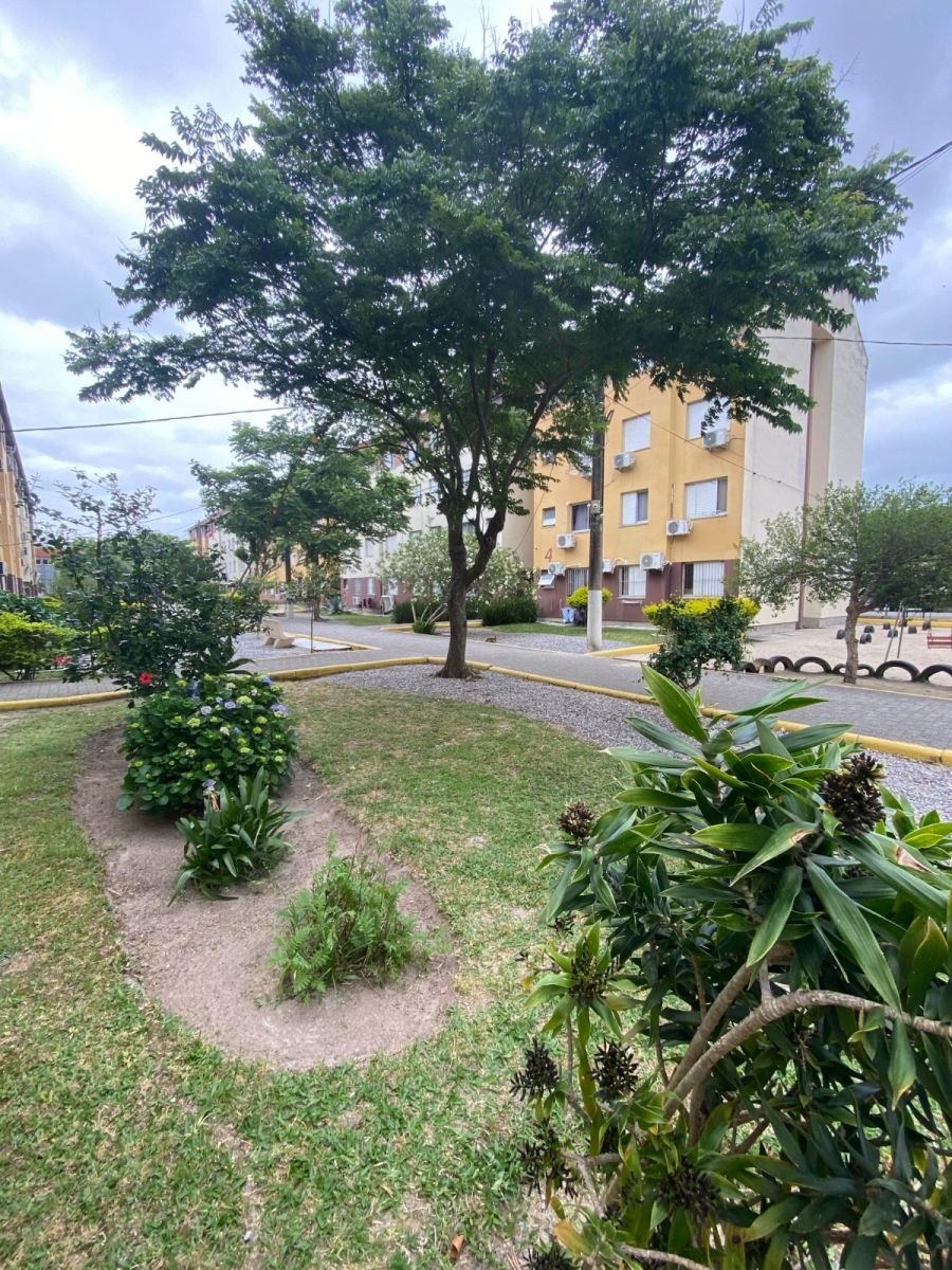 Apartamento - Venda - Centro - Pelotas - RS