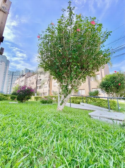 Apartamento - Venda - Areal - Pelotas - RS