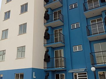 Apartamento na Fernando Os�rio